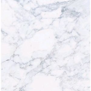 Meet your Posher, Abbie